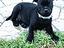 Immagine 6