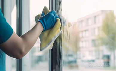 Pulizie domestiche e stiro lodi