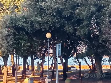 VISTA MARE palazzo storico