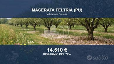 Immobile in asta di 5712 m² a Macerata