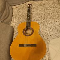 Chitarra Eko per principianti 