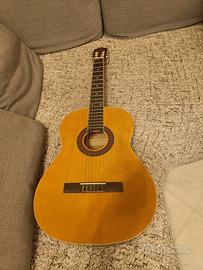 Chitarra Eko per principianti 