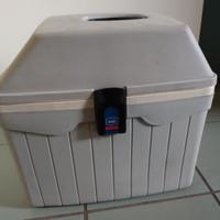 Frigorifero auto