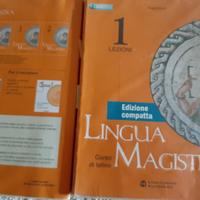 Lingua magistra 1 - edizione compatta-latino