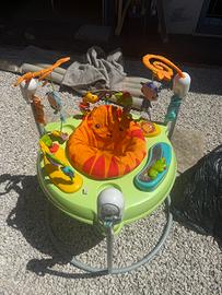 Fisher price baby gear