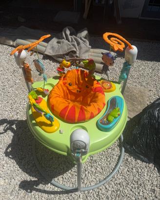 Fisher price baby gear
