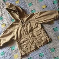 Cirio scouting safari