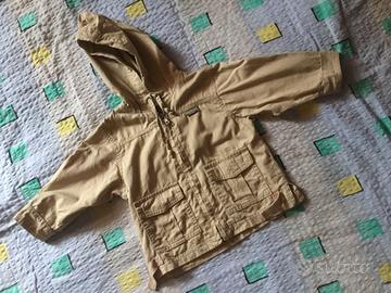 Cirio scouting safari