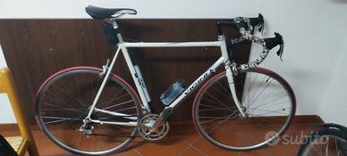 Bicicletta Vicini