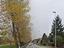 Immagine 11