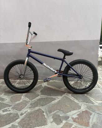 BMX custom Sunday