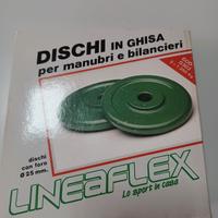 Set Dischi in ghisa da 1,250 kg