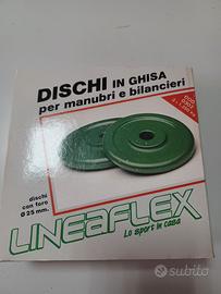 Set Dischi in ghisa da 1,250 kg
