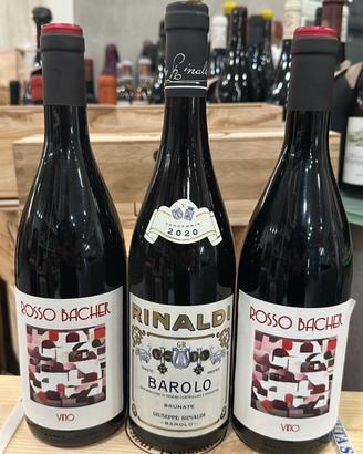 Rinaldi Brunate 2020  2 Rosso Marisa Bacher