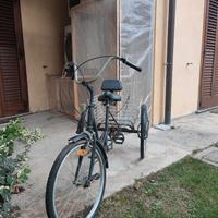 Triciclo adulti