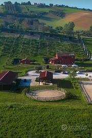 Centro Ippico / maneggio