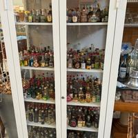 Vetrina con bottiglie mini