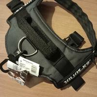 Pettorina Julius k9 size 0