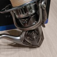 combo light spinning ed eging 2/12g