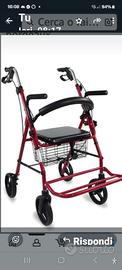 deambulatore 