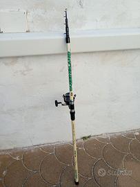 Canna surf casting
