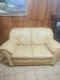 Divano 2 posti in pelle