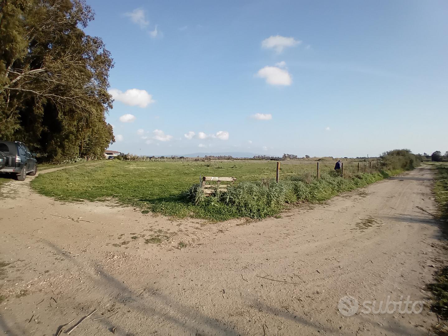 Terreno agricolo - Vista 4