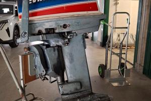 evinrude 25