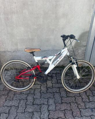 Bicicletta galaxy boy full suspension