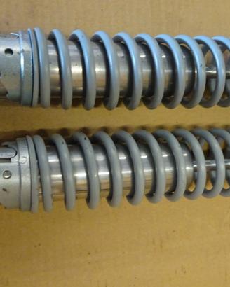 Ammortizzatori Ceriani Koni Sachs Kayaba Showa