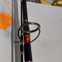 canna spinning (traina costiera)