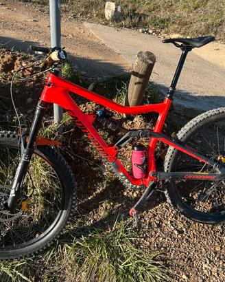 Cannondale Trigger 2019