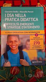 i DSA nella pratica didattica