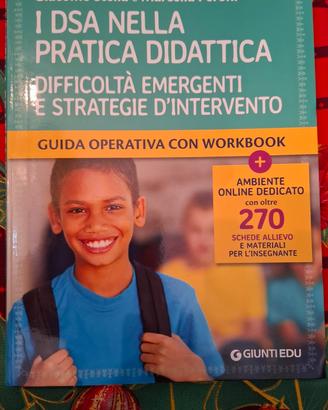 i DSA nella pratica didattica