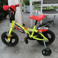 Bicicletta bambini Dino Bikes Raptor 12"