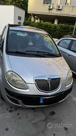 Lancia musa platino