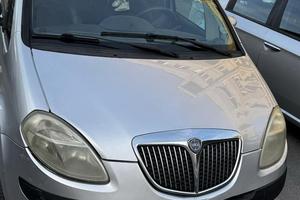 Lancia musa platino