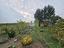 Immagine 26
