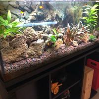Acquario con mobile