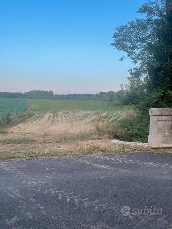 Terreno agricolo a Carlino mq 8560