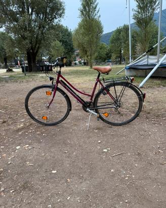 Bicicletta