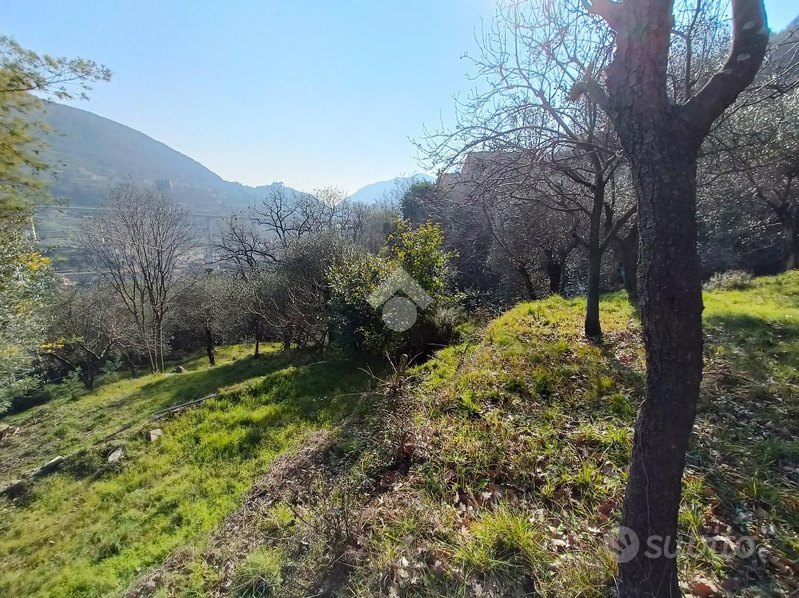 TER. AGRICOLO A FINALE LIGURE - Altro