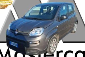FIAT Panda NEOPATENTATI PANDA 1.0 firefly hybrid