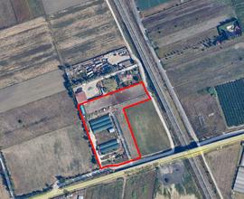 Azienda agricola con annesso terreno 16000 mq