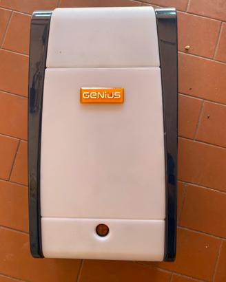 Motore per basculante box