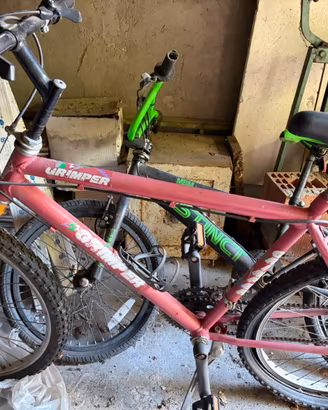 Bmx e mountain bike da ragazzo