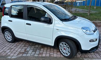 FIAT Panda 3ª serie - 2024