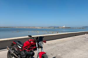 Ducati monster 600