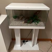 Acquario + mobiletto