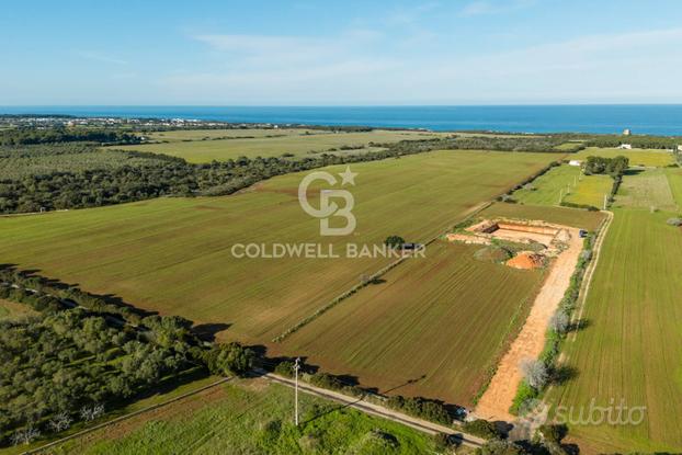 Terreno agricolo - Ostuni